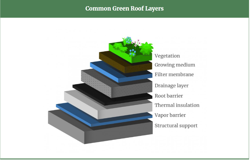 Common Green Roof Layers